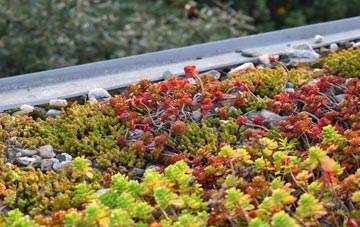 the cost of Willisham green roof installation