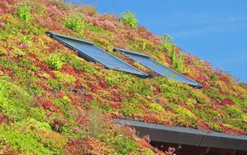 Willisham living roof systems
