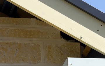 soffit repair Willisham